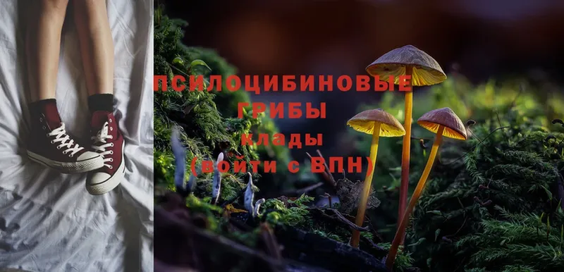 Псилоцибиновые грибы Magic Shrooms  где можно купить наркотик  MEGA зеркало  Кущёвская 